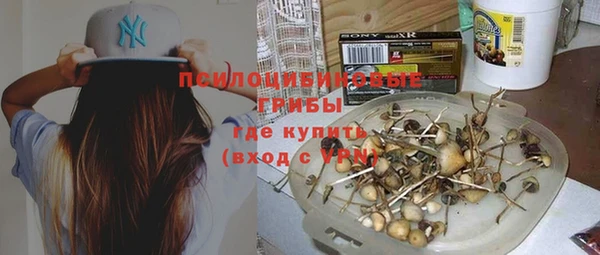 тгк Абинск