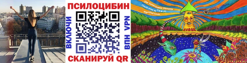 Псилоцибиновые грибы GOLDEN TEACHER  где продают   Ивангород 